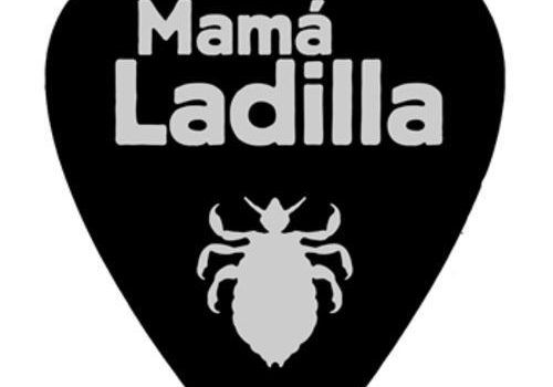 Me avergüenzo imagen cogida de la cuenta Twitter @MamaLadilla