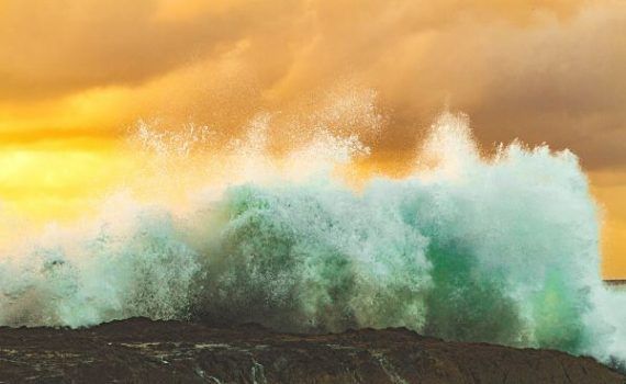 Olas color_opt