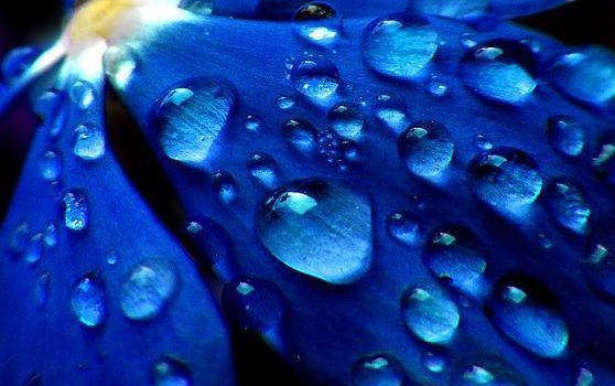 gotas drops-4242543_640_opt